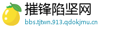 摧锋陷坚网
